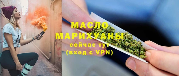 индика Гусиноозёрск