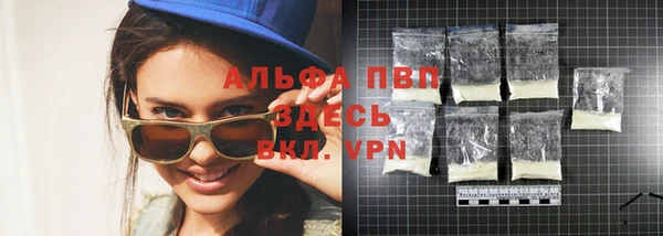 индика Гусиноозёрск