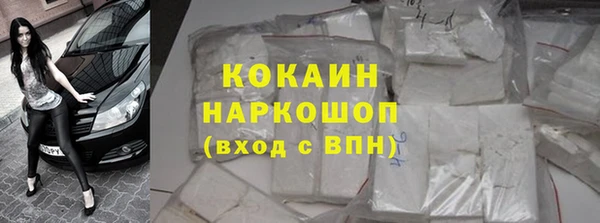 индика Гусиноозёрск