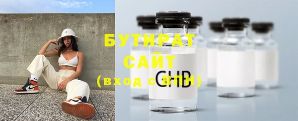 индика Гусиноозёрск