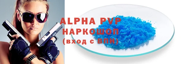 индика Гусиноозёрск