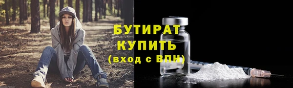 индика Гусиноозёрск