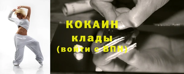 индика Гусиноозёрск
