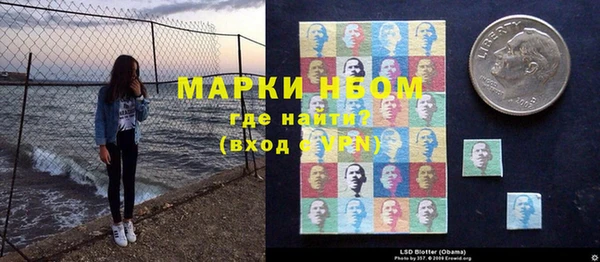 индика Гусиноозёрск