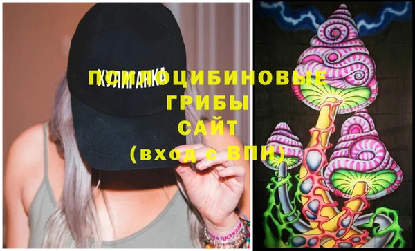 индика Гусиноозёрск