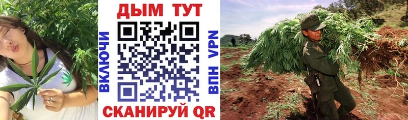 Купить где  Приволжск  МАРИХУАНА гибрид 